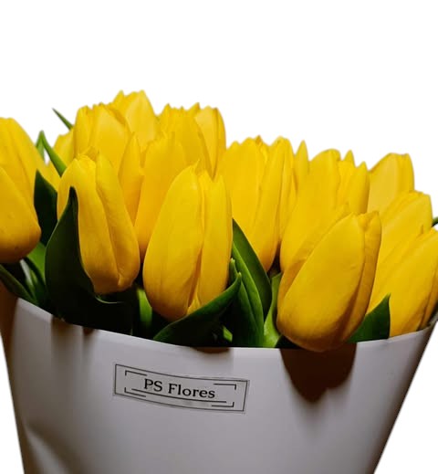 Bukiet Żółtych Tulipanów, 7-51 sztuk